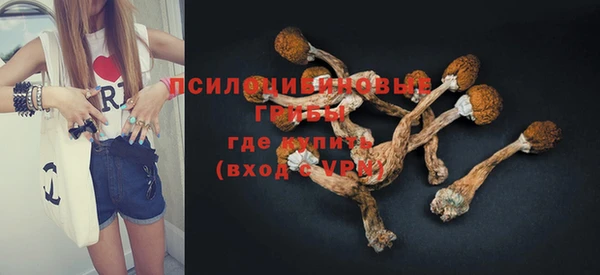 MESCALINE Карпинск