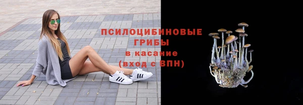 MESCALINE Карпинск